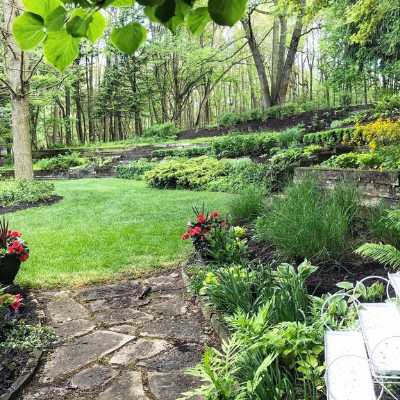 green landscaped yard with trees and bushes