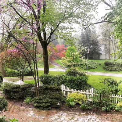 spring trees and bushes along a brick path