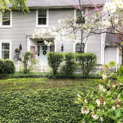 colonial house and flowering tree