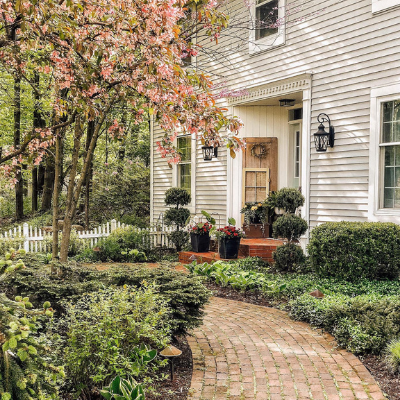 front walk with flowering tree and shrubs