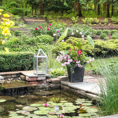 koi pond and landscaped yard