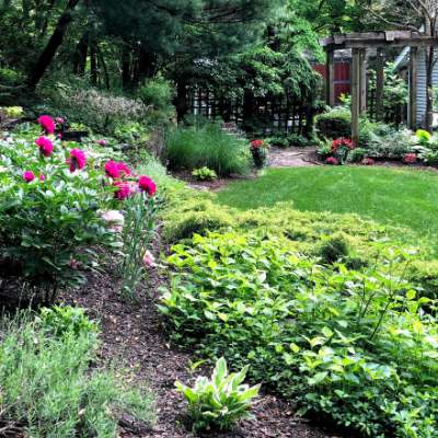 landscape with peonies