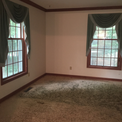 living room with curtains and no carpet